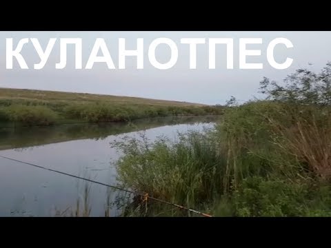 Видео: Рыбалка на реке КУЛАНОТПЕС Заповедные места Казахстан