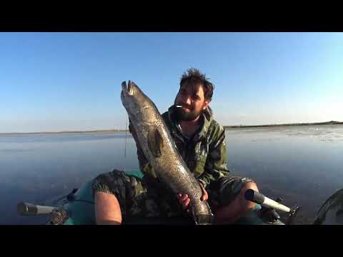 Видео: Рыбалка змееголов на бутылки улов отличный!!!