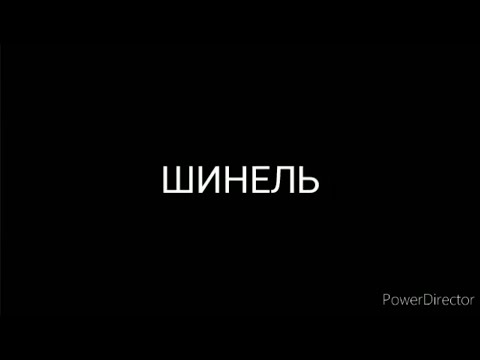 Видео: Н.В.ГОГОЛЬ .ШИНЕЛЬ.ЧИТАЕТ А.В.ИВАНОВ