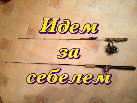 Видео: №39. Идем на себеля