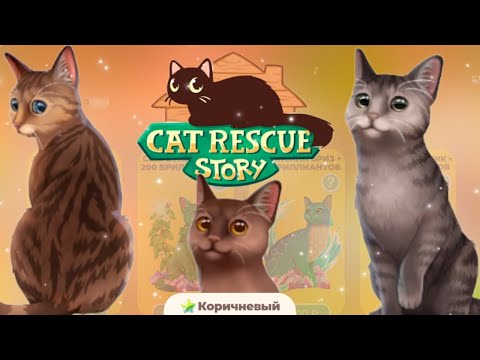 Видео: КОШАКОВ СТАЛО БОЛЬШЕ| Cat Rescue Story|прохождение#2
