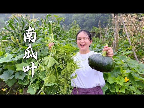 Видео: Можно ли есть тыквенные листья таким образом? Уникальный метод Ли заставляет семью наслаждаться этим