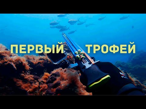 Видео: Подводная охота в Мае на острове Тасос. Мой первый трофей в море.