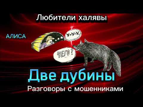 Видео: ДВЕ ДУБИНЫ | ТЕЛЕФОННЫЕ МОШЕННИКИ