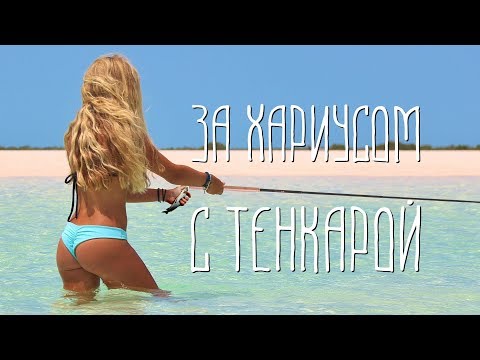 Видео: За хариусом с тенкарой.