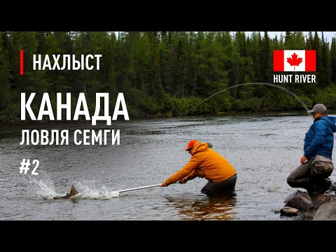 Видео: Ловля СЕМГИ в КАНАДЕ река Hunt River. Снасть для ловли, поиск лосося, ловля на сухую мушку.