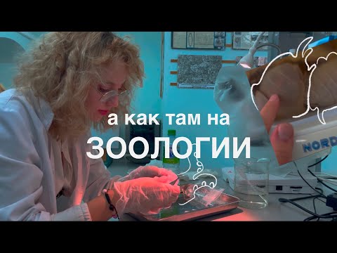 Видео: МЫ ЗАШЛИ В ЛАБОРАТОРИЮ ЗООЛОГИИ | КАК РАБОТАЮТ УЧЕНЫЕ ЗООЛОГИ В УНИВЕРСИТЕТЕ | ЭКСКУРСИЯ ПО КАФЕДРЕ