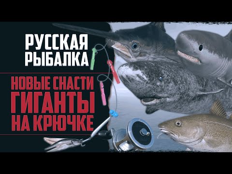 Видео: Новый Путь в РР4 #16 🔴 Морские Гиганты | Трофейный Карпфишинг | Новые Снасти | Навыки на 100%