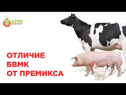 Видео: Чем премикс отличается от БВМК.