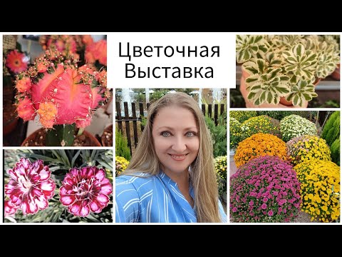 Видео: Выставка Цветов в Илиуполи 2024🍂