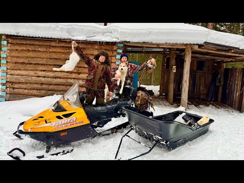 Видео: ЗАКРЫТИЕ ПУШНОГО ПРОМЫСЛА.ПОДВОДИМ ИТОГИ, ОЗВУЧИВАЕМ ЦЕНЫ НА МЕХ.