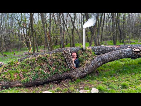 Видео: ВИЖИВАННЯ В ЛІСІ  -  ЗЕМЛЯНКА ЗА ДЕНЬ