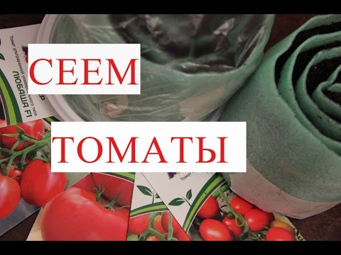 Видео: Томаты. Посев Томатов. Рассада в Улитке - Урожай Гарантирован!