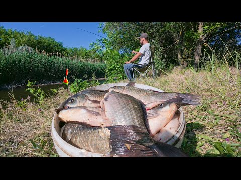 Видео: НАЖИВКА ПОД НОГАМИ! СОБИРАЙ ДА ЛОВИ! СУМАСШЕДШИЙ КЛЁВ КАРАСЯ! ПОЛНОЕ ВЕДРО. ПРОЩЕ НЕКУДА.