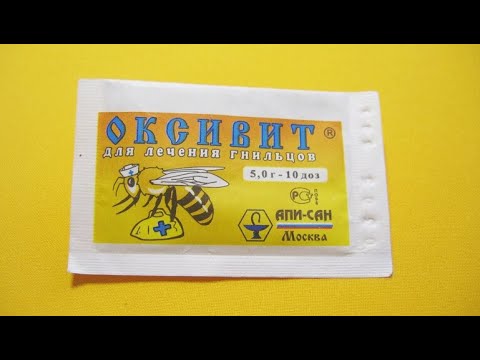 Видео: подкормка пчел в зиму - что надо добавлять к сиропу, а что лучше не добавлять