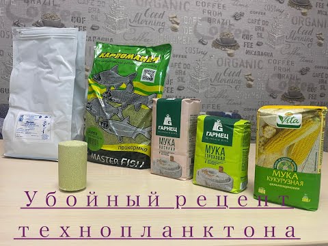 Видео: Рецепт технопланктонов