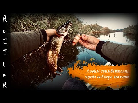 Видео: Strike Pro Gill Raker 115SS. Ловля неактивной щуки.