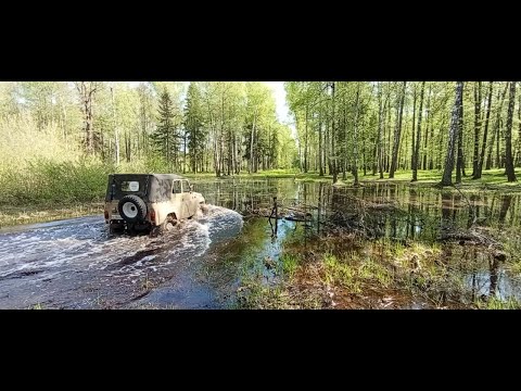 Видео: Едем в соло на УАЗе в болото. Мини джип лото. 4х4help Казань - бесплатная внедорожная помощь.