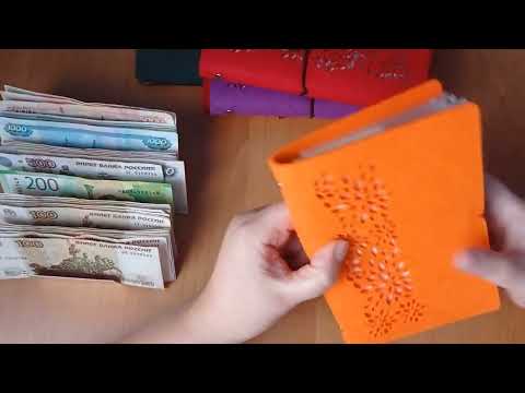 Видео: Система конвертов/Я СДАЛАСЬ/ Семейный бюджет/ Чек 1 декабрь