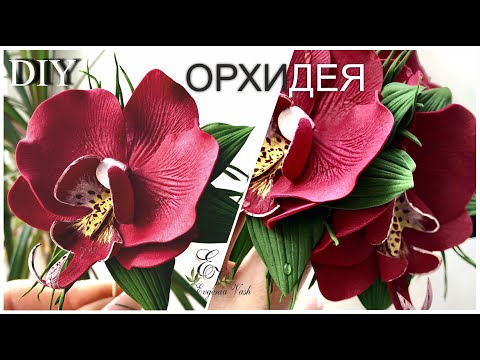 Видео: 🌿🌺🌿 DIY 🌺 КРАСИВЫЕ ЦВЕТЫ на заколки, резинки, повязки 🌺 БРОШЬ - ФАЛЕНОПСИС 🌿🌺🌿FLOWERS from FOAMIRAN
