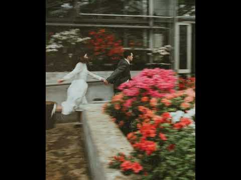 Видео: 𝙷𝚊𝚖𝚖𝚊𝚕𝚒&𝙽𝚊𝚟𝚊𝚒 -  А если это любовь (𝚜𝚙𝚎𝚎𝚍 𝚞𝚙)