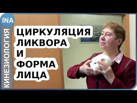Видео: Циркуляция ликвора и фрома лица. Краниальная терапия. Прикладная кинезиология Васильева