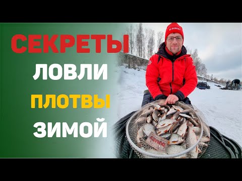 Видео: Рыбалка зимой.  Секреты ловли плотвы зимой.