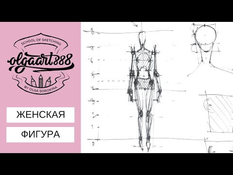 Видео: 💃✍🏼ЖЕНСКАЯ ФИГУРА: пропорции. Пробный урок из курса по фэшн скетчингу маркерами для начинающих