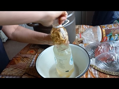 Видео: РОБЛЮ БЕРЕЗОВИЙ КВАС В ПЛЯШКАХ.