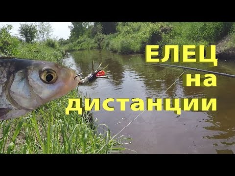 Видео: Ловля ельца на дистанции мокрой мушкой. Ловим на kebary.