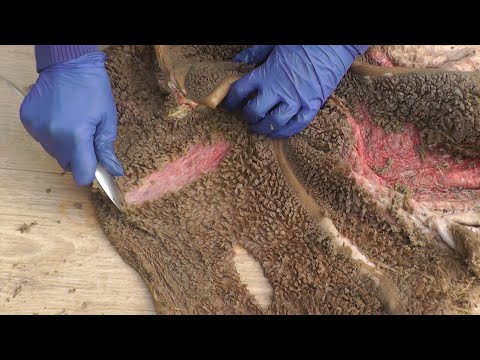 Видео: Как варить требуху | Как чистить требуху (говяжий рубец)