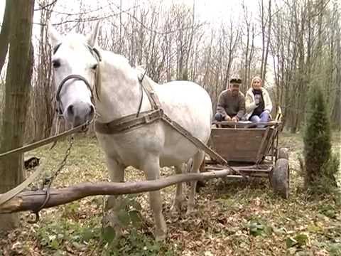 Видео: "Подорожні замальовки" - Бережани, УПА