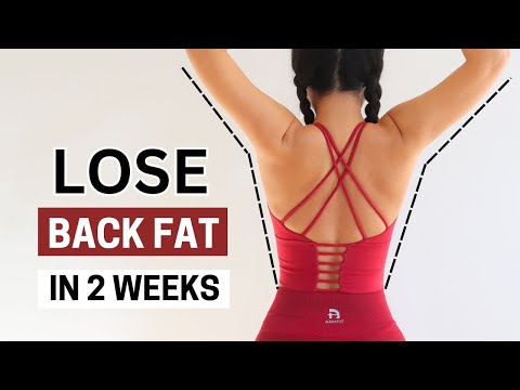 Видео: УСТРАНИТЕ ЖИР НА СПИНЕ за 2 недели, тренировка стоя/сидя, добавьте легкие гантели