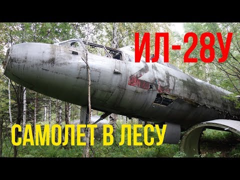 Видео: Пошли в лес за грибами, нашли самолет. Ил-28У