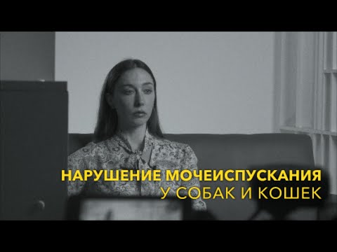 Видео: Нарушение мочеиспускания у собак и кошек