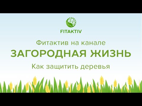 Видео: "Советы и секреты - Как защитить деревья" канал Загородная жизнь