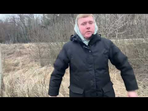 Видео: Як зимують наші бджоли? 4лютого