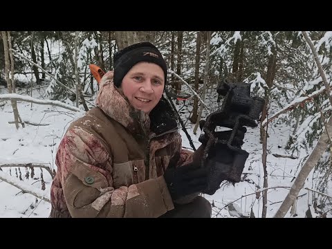 Видео: Металлокоп по первому снегу.Настройка моего металика.