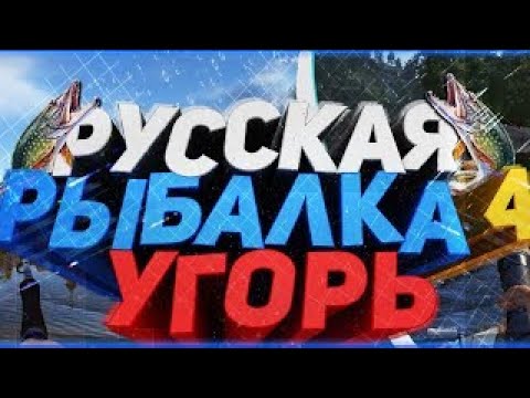 Видео: Русская рыбалка 4 Старый острог Угорь