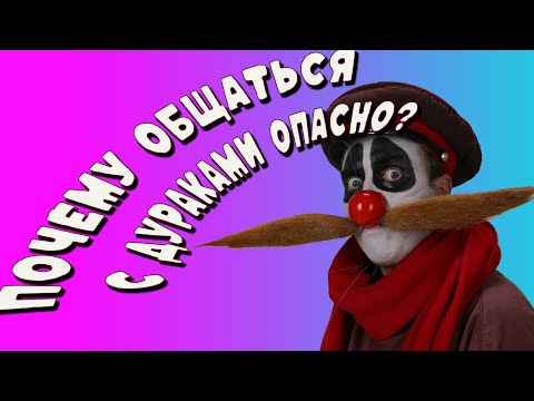 Видео: Почему вредно общаться с дураками?