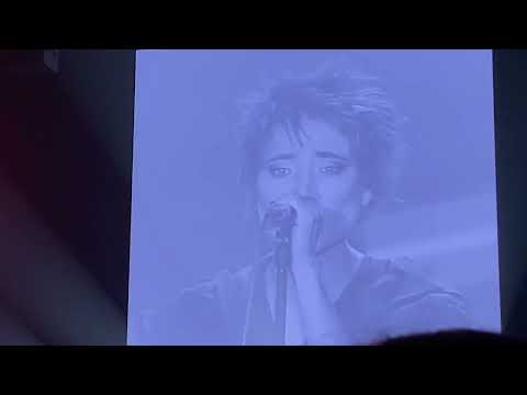 Видео: Земфира Алматы 20 августа 2023 г.