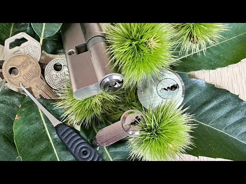 Видео: ОТМЫЧКИ ДЖИМИ ЛОНГС ЛУЧШИЕ ОТМЫЧКИ В МИРЕ /#медведь +380933763773