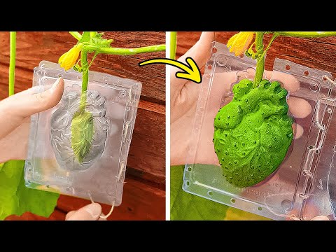 Видео: Удивительные идеи для садоводства 🌸 Полное руководство по созданию процветающего сада🌿