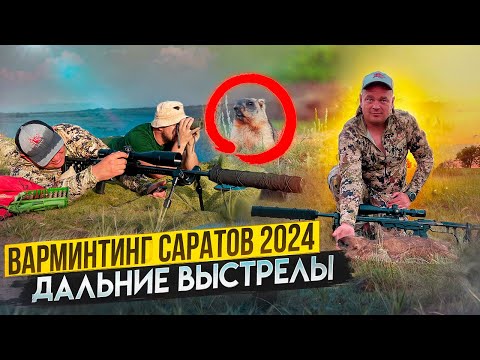 Видео: Охота на сурка байбака. Варминтинг 2024