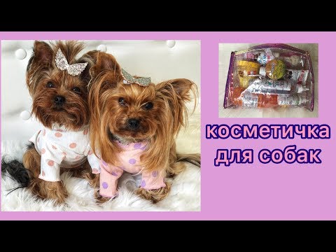 Видео: КОСМЕТИЧКА ДЛЯ СОБАК | ВСЕ ЧТО НУЖНО ДЛЯ УХОДА ЗА СОБАКОЙ