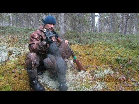 Видео: ГЛУХАРЬ НА (6) КИЛОГРАММ! ОХОТА В ГЛУХОЙ ТАЙГЕ