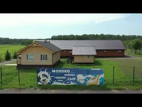 Видео: Мини-ферма в 34 км от МКАД