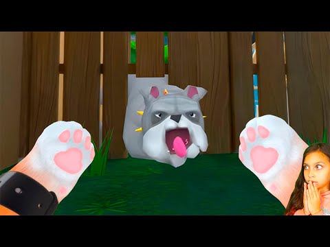 Видео: 🐱 ПАПА КОТ ВЫГУЛЯЛ СОБАЧКУ I Am Cat VR Валеришка
