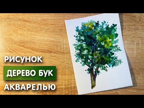 Видео: Как нарисовать дерево бук карандашом и акварелью начинающим | Рисунок для детей