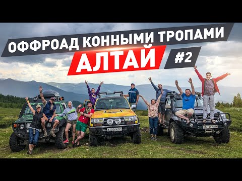 Видео: Оффроад конными тропами Алтая.№2